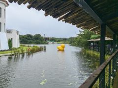 -济州森林小火车生态公园