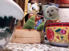 -南京大牌档(凯德大峡谷店)
