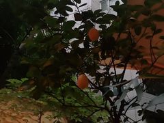 -懒鱼时光馆(沙坪坝店)