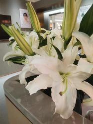 -FineYoga梵音瑜伽·普拉提