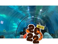 -福州罗源湾海洋世界旅游区