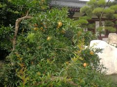 -西安华清御汤酒店