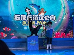 -石家庄海洋公园