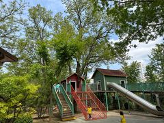 -南宫五洲植物乐园