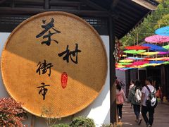 -天目湖山水园
