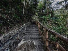 -海南热带雨林国家公园吊罗山景区