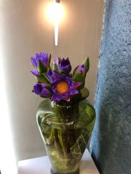 -17.壹柒·美学高定空间