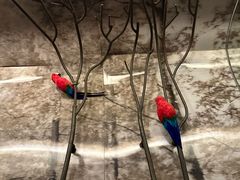 -杭州逸酒店(西湖武林店)