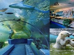 -华夏文旅海洋公园