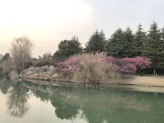 -白塘生态植物园
