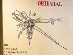 -荷兰布尔玛国际花艺学院