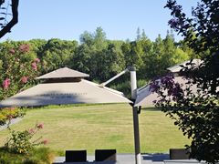 -养云安缦吧THE BAR