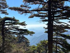 -黄山风景区