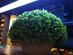 -宏状元现熬粥·京味菜(黄寺大街店)