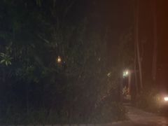 -碧水湾温泉