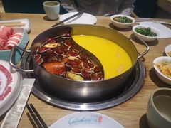 -青瓷火锅料理(西单大悦城店)