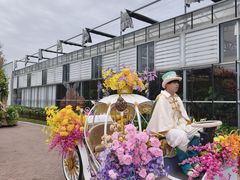 -荷兰花海