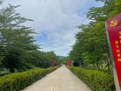 -亚龙湾国际玫瑰谷