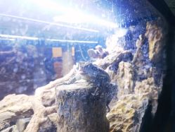 -Zoolung Zoolung动物主题公园(海信广场店)