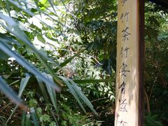 -上海滨江森林公园