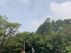 -南国桃园旅游度假区