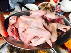 -百利鸽王(紫薇路店)