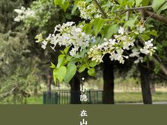 -天坛公园
