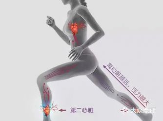 健身小知识分享：小腿篇 很多人都觉得自己的小腿粗壮