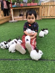 点击看大图 -萌宠亲子动物乐园(槐房万达店)