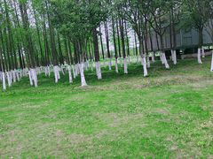 -滆湖低碳生态公园