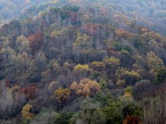 -玉渡山自然风景区