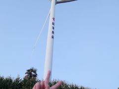 -武陵山森林公园