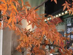 -荷塘秋月·本帮江浙菜(国权路店)