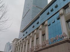 -华中科技大学同济医学院附属同济医院(汉口院区)