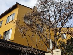 -龙华素斋(龙华路店)