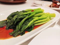 葱油捞广东菜心-南棠馆粤菜坊(群光店)