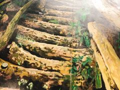 -广东科学中心科技影院