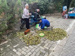 -张鸟园农家乐(张鸟园店)