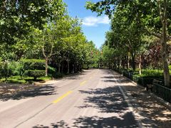 -石家庄市动物园