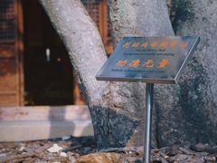-龙华寺