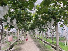 -美家乐农庄·露营·团建(大治路店)