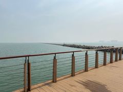 -东疆建设开发纪念公园