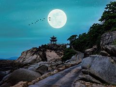 -三亚蜈支洲岛旅游区