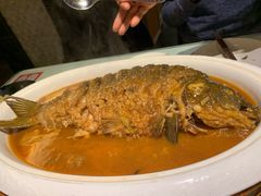 红烧黄河鲤鱼-阿五黄河大鲤鱼(纬三路店)