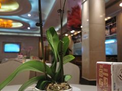 -顺峰海鲜酒楼(省府店)