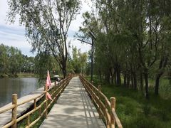 -白渔泡湿地公园