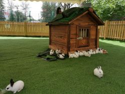 -萌宠亲子动物乐园(槐房万达店)