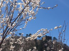 -辛玛王国游乐园