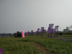 -紫颐香薰山谷景区