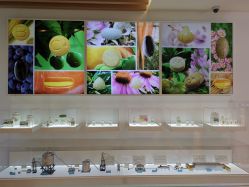 -安利上海体验馆